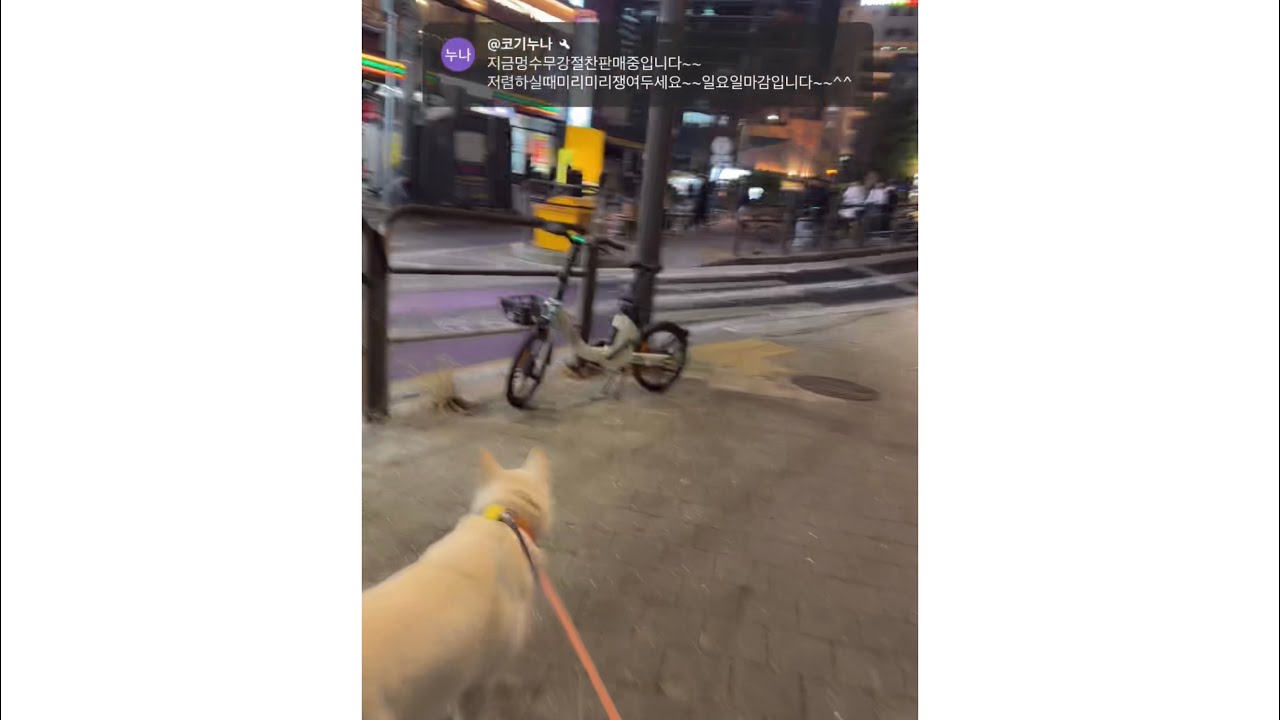 오늘은 다른 코스 저녁 산책! 아직 추워여