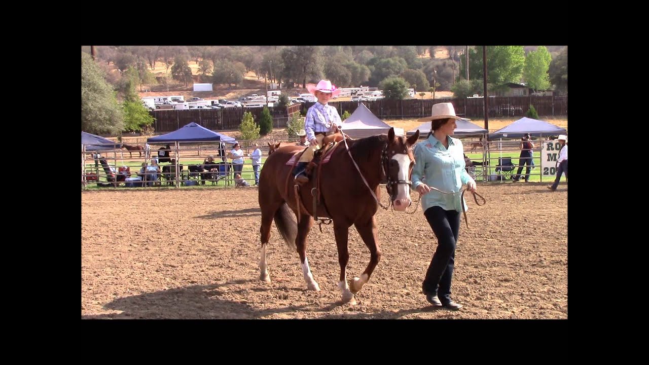 2015 Horse Show Lead Line Class