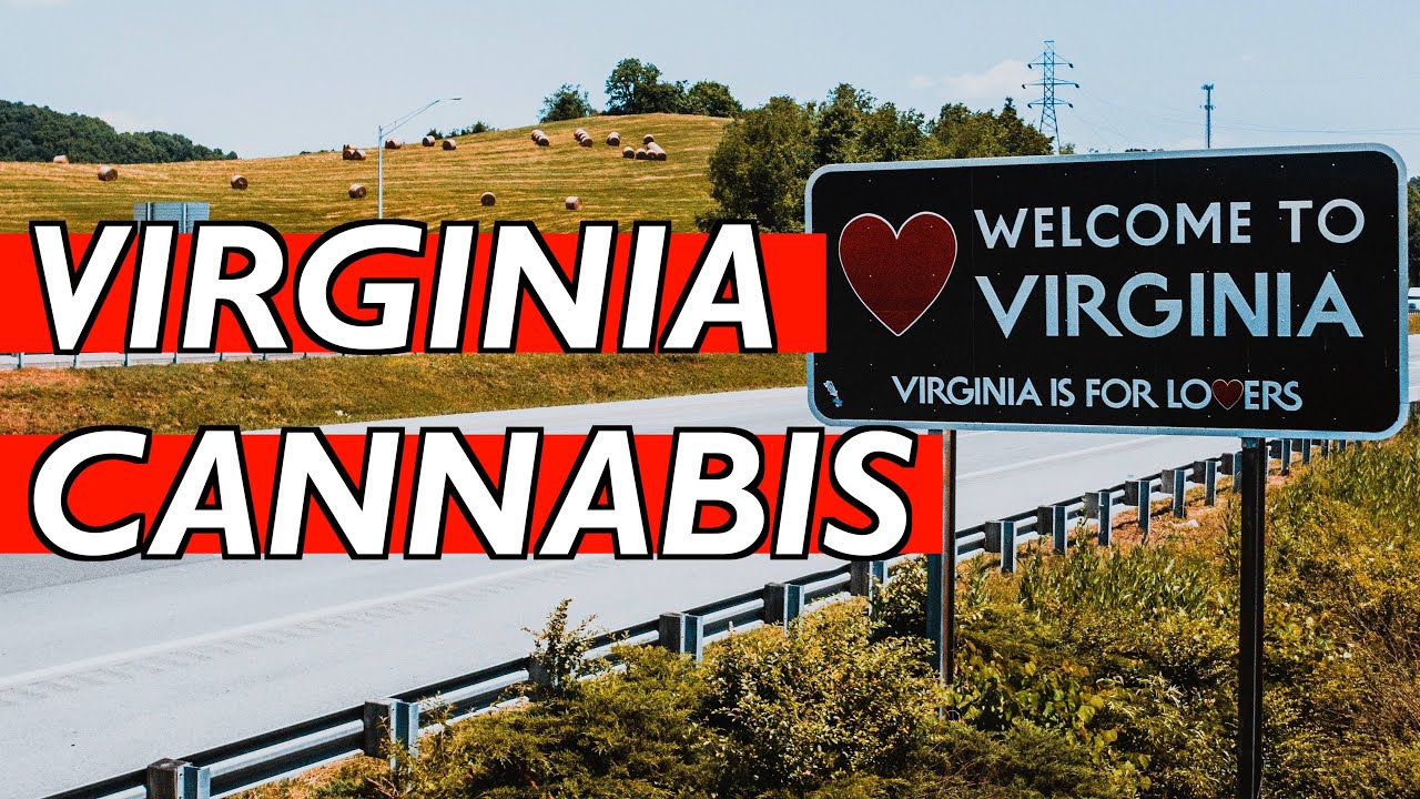 Virginia's Growing Cannabis Market