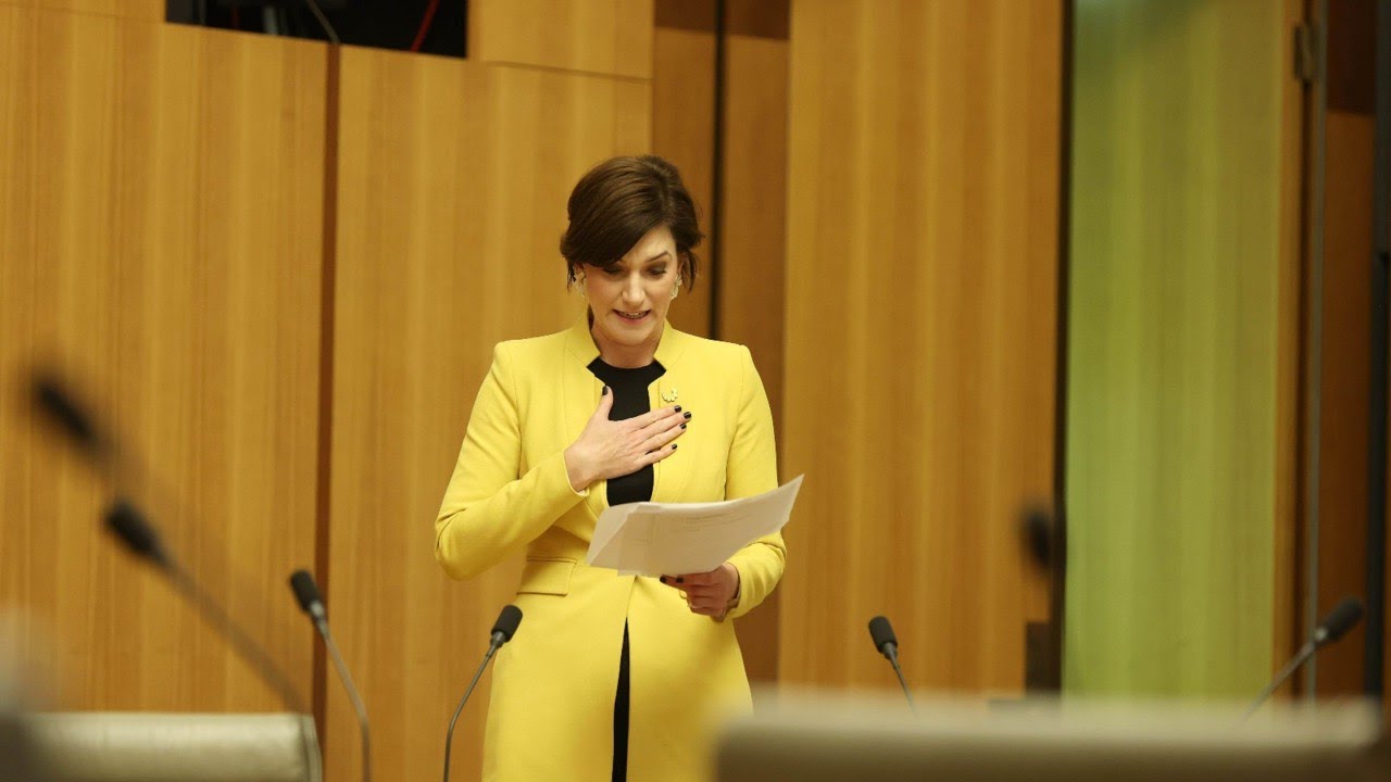Nicolle Flint delivered &lsquo;thumping farewell speech&rsquo; on her treatment by the left