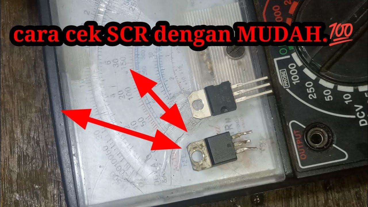 CARA TERMUDAH CEK SCR SETRUM IKAN PDC UMUM.