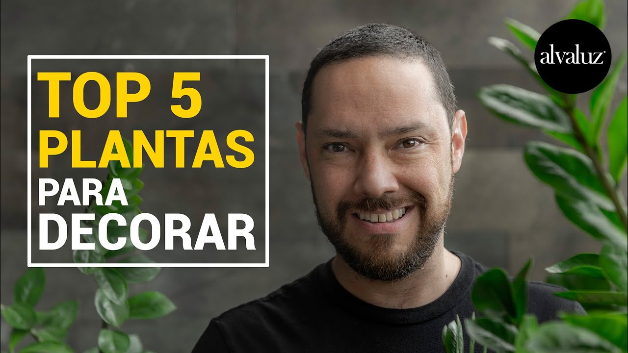 TOP 5 PLANTAS para DECORAR LA CASA y TODO SOBRE SUS CUIDADOS