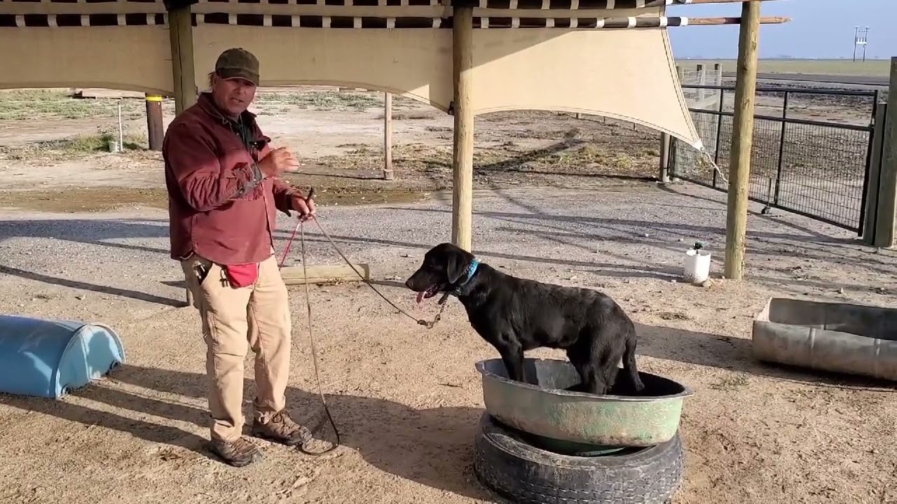 Using the Boat for Advanced Training