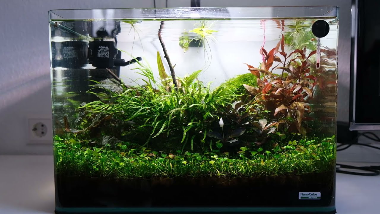 Dennerle 35l Scapers Tank - No CO2