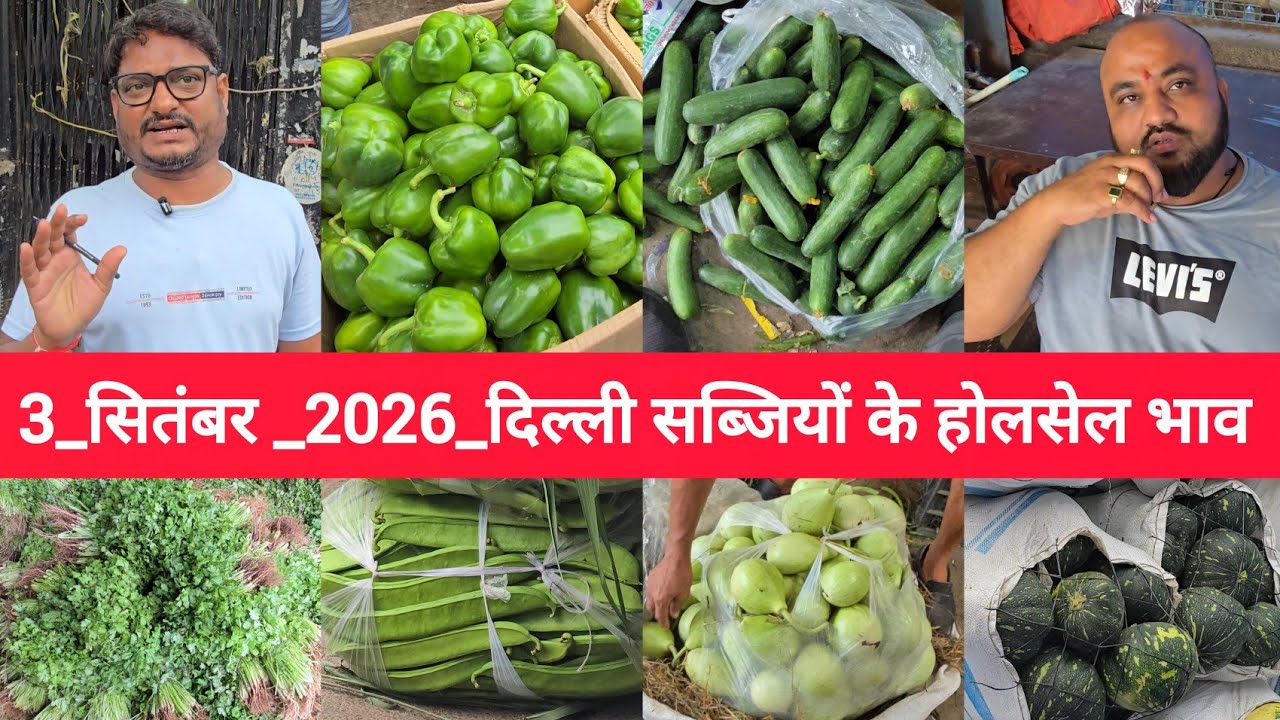 September 3, 2026 दिल्ली सब्जियों के भाव vegetables report delhi vegetables price #vegetablemarket