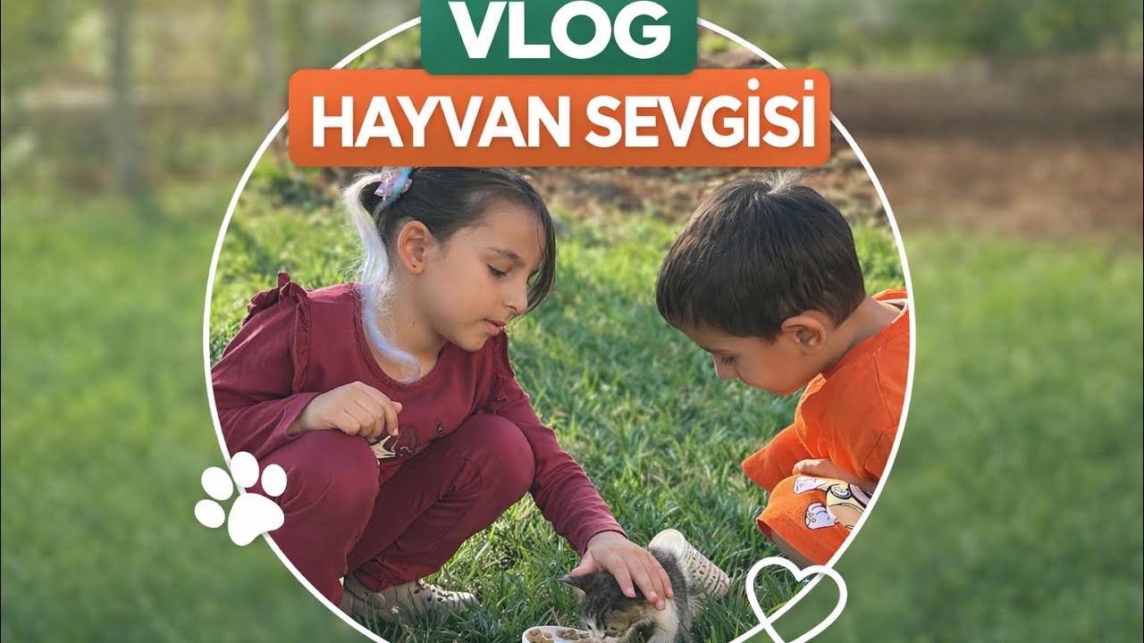 HELBEST CIVAN ‘NIN KEDİ SEVGİSİ🐈 VLOG🐕 #keşfet #vlog #hayvanlarıkoruma #kedi  