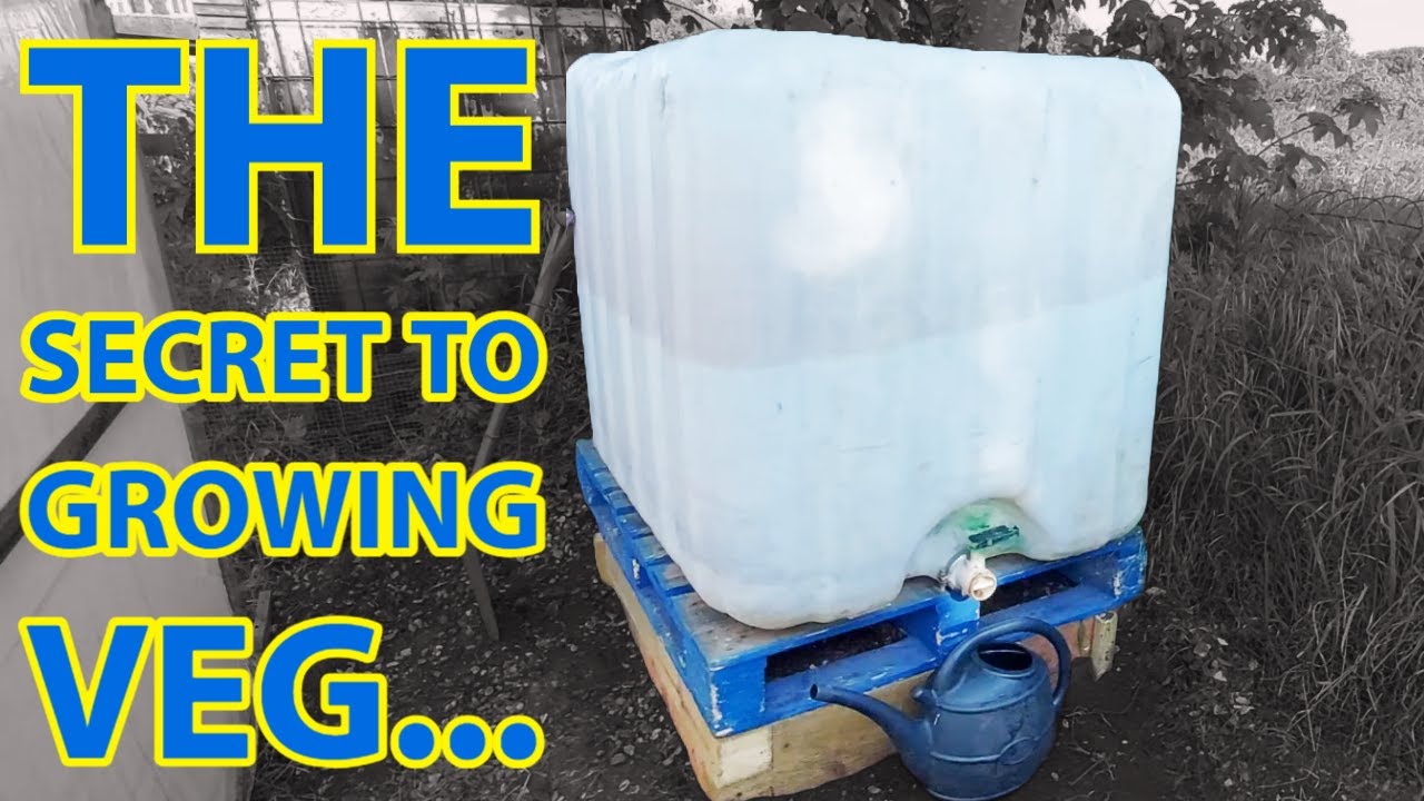 Installing water catchment at the allotment using an IBC