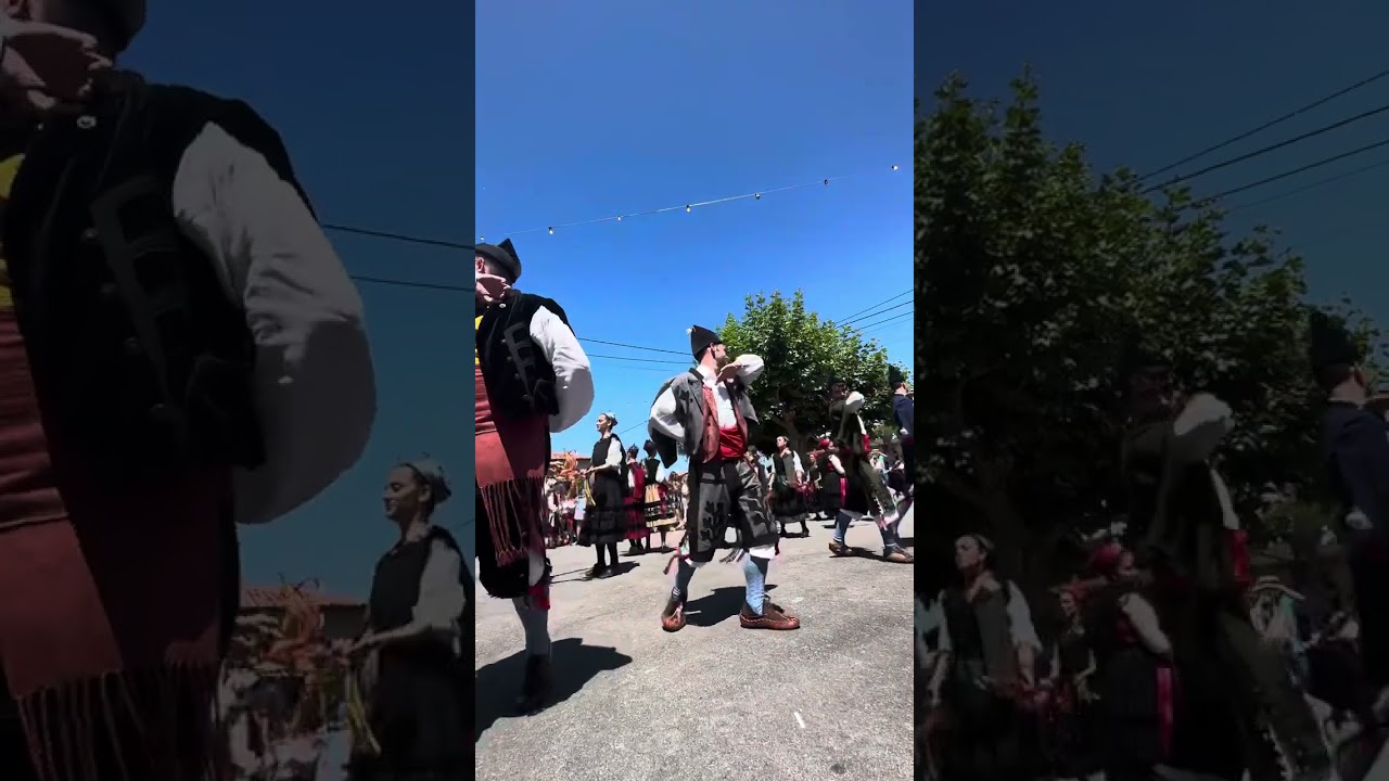 Pericote Naves de Llanes 2023
