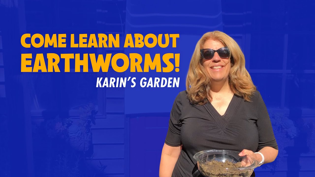 Come learn about earthworms!
