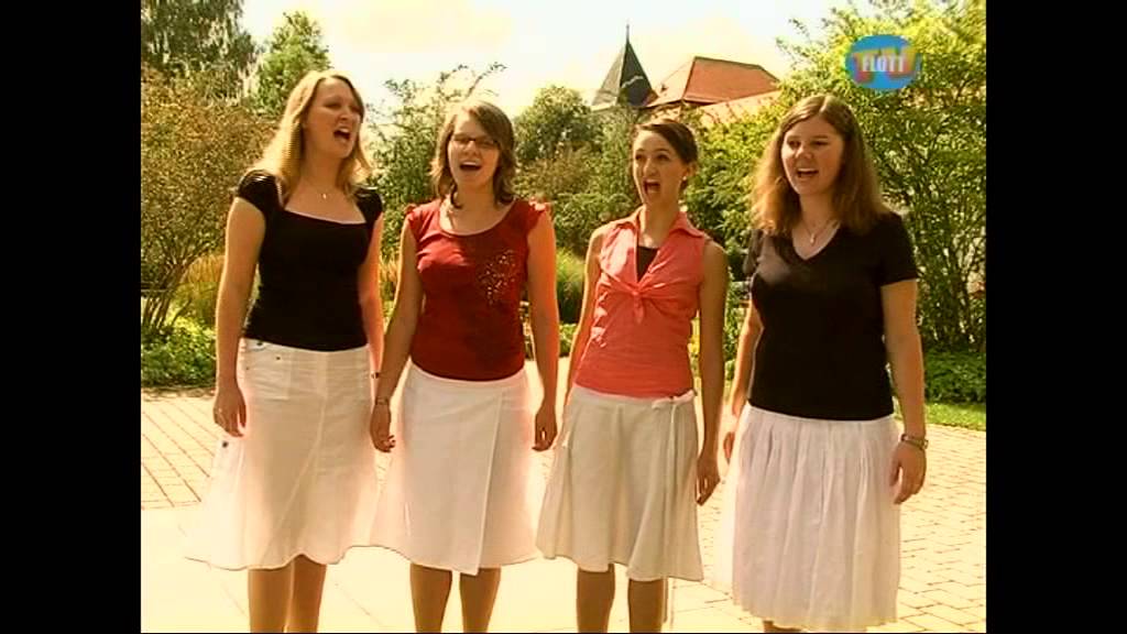 Kulturschaufenster DVD