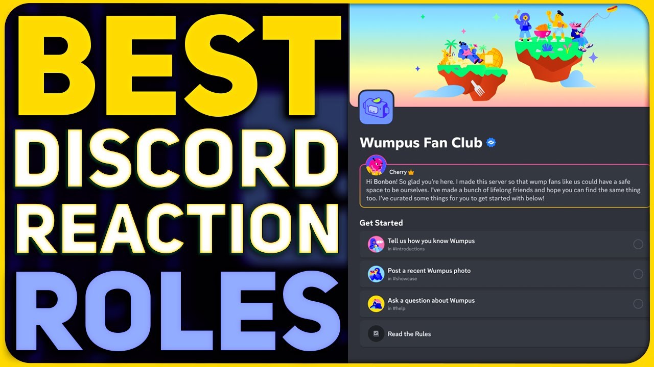 ЛУЧШИЕ роли Discord Reaction — руководство по настройке Discord для новых пользователей!