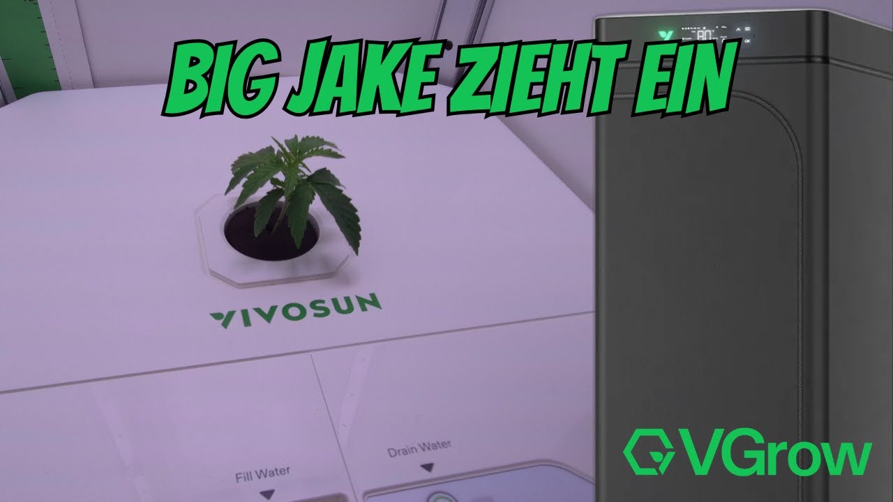 VGrow DWC im Test 🌱 Wie reagiert Big Jake auf ihr neues Zuhause?