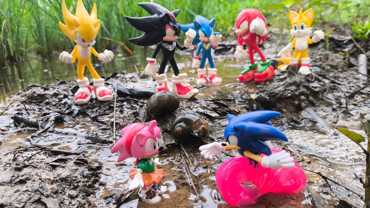 Sonic Hunter | Sonic Hedgehog | Knuckles | Tails | Super Sonic | Sonic Shadow | Metal Sonic | Amy