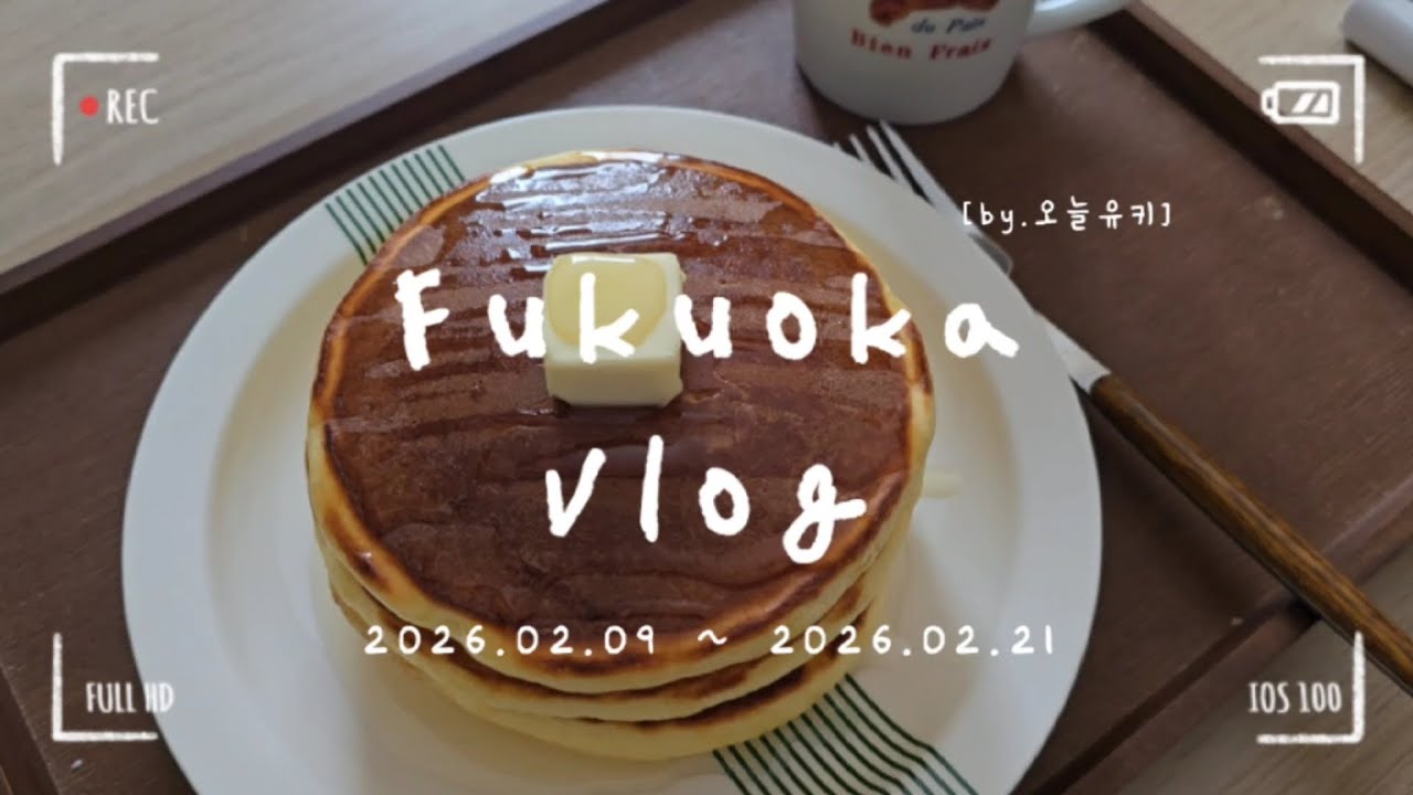 후쿠오카 VLOG | 치과 언제 끝날까.. | 로피아 나가하마점 사랑해🫶 | 셀프명절보내기 (+명절음식) | 장보고 먹고 장보고 먹는 2월의 일상브이로그🤗