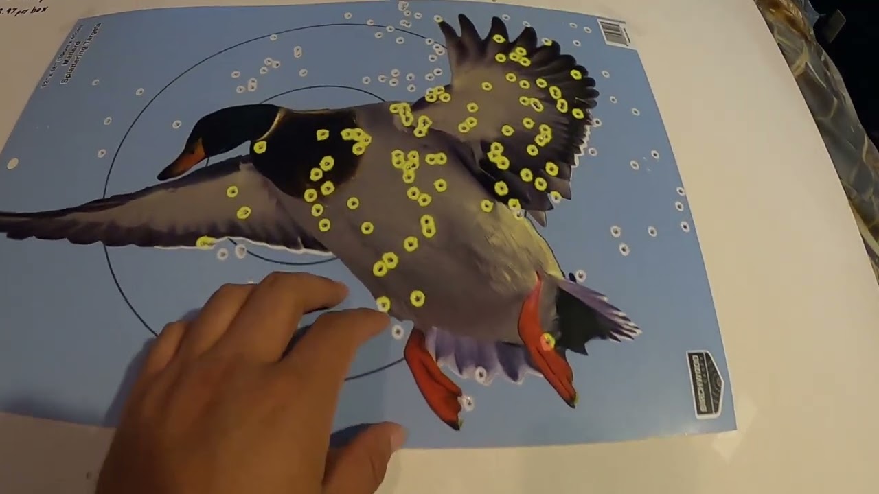 Federal Speed Shok pattern test 12-gauge #3 shot!!!