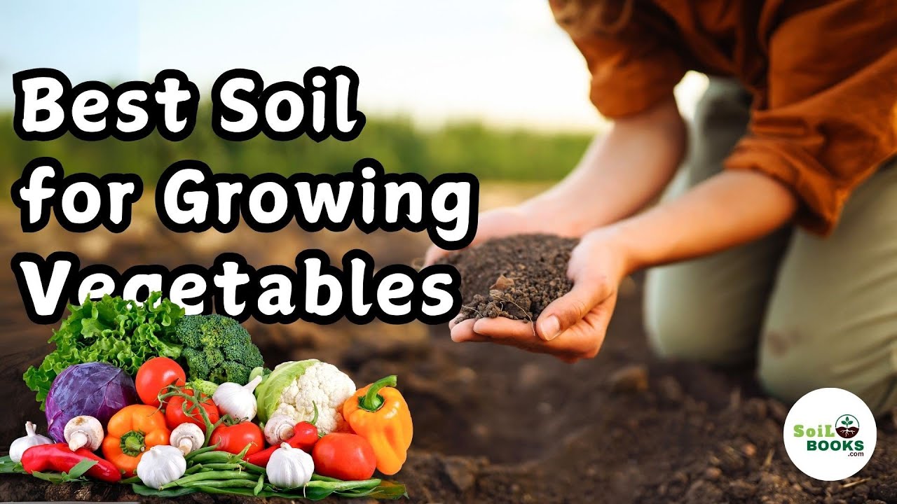 Best Soil for Growing Vegetables : Unlock Your Garden&rsquo;s Full Potential!