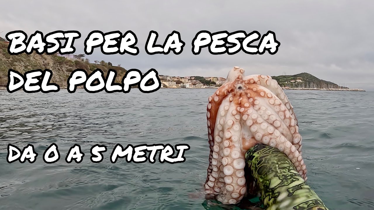 Pescasub Tutorial | COME E DOVE TROVARE I POLPI