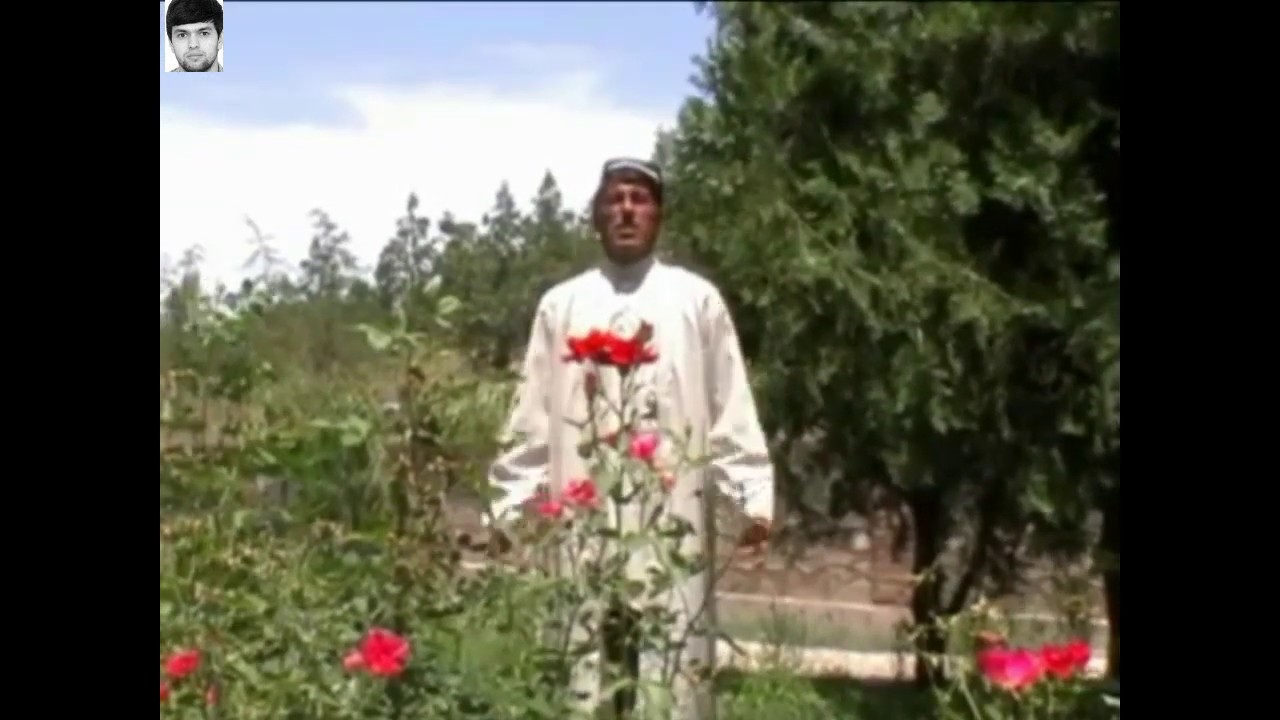 Махмадали Аюби - Шаби Ялдо