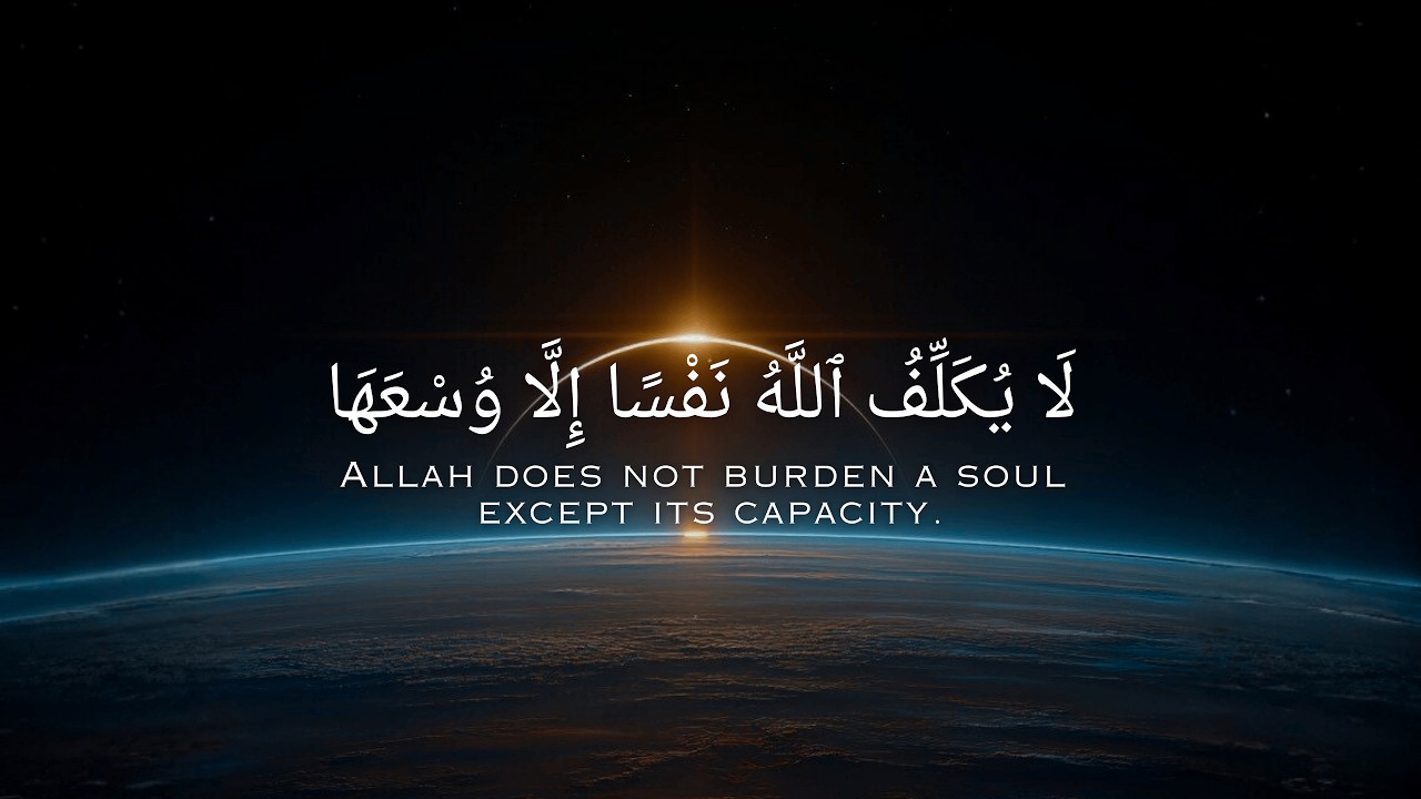 😊🎧Relaxing Quran Reaction | Abdul Rahman Mossad | QURA