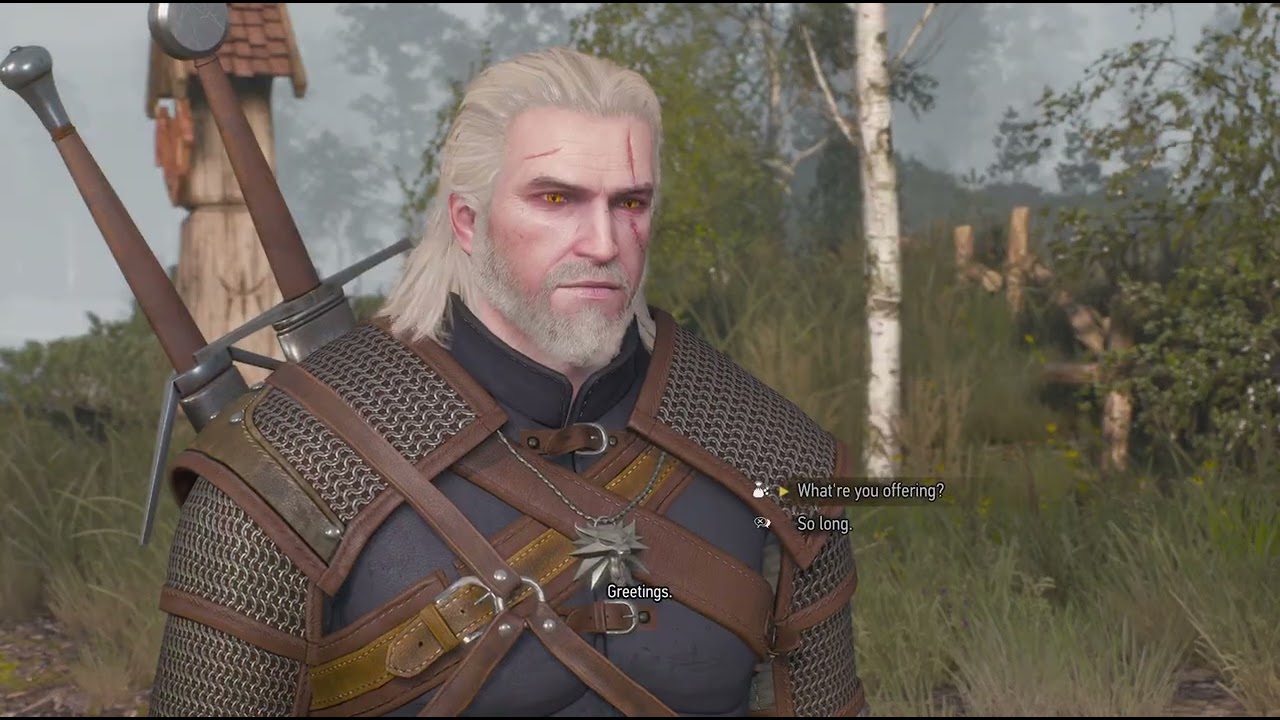*The Witcher 3: Wild Hunt - Complete Edition*