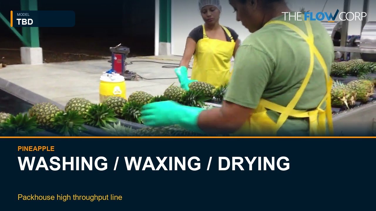 Pineapple Washing, Waxing & Drying Line