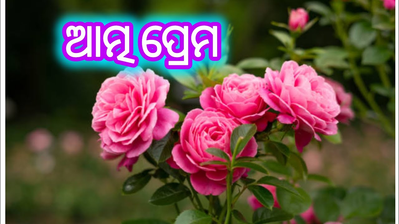 ଆତ୍ମ ପ୍ରେମ #odiamotivation #odiaspiritual #selfloveodia #soulhealing #soulgrowth #openyourheart 