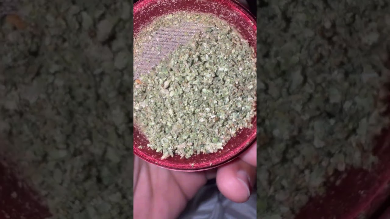 Weed is my best friend 💯 #trending #shortvideo #reggae #subscribe