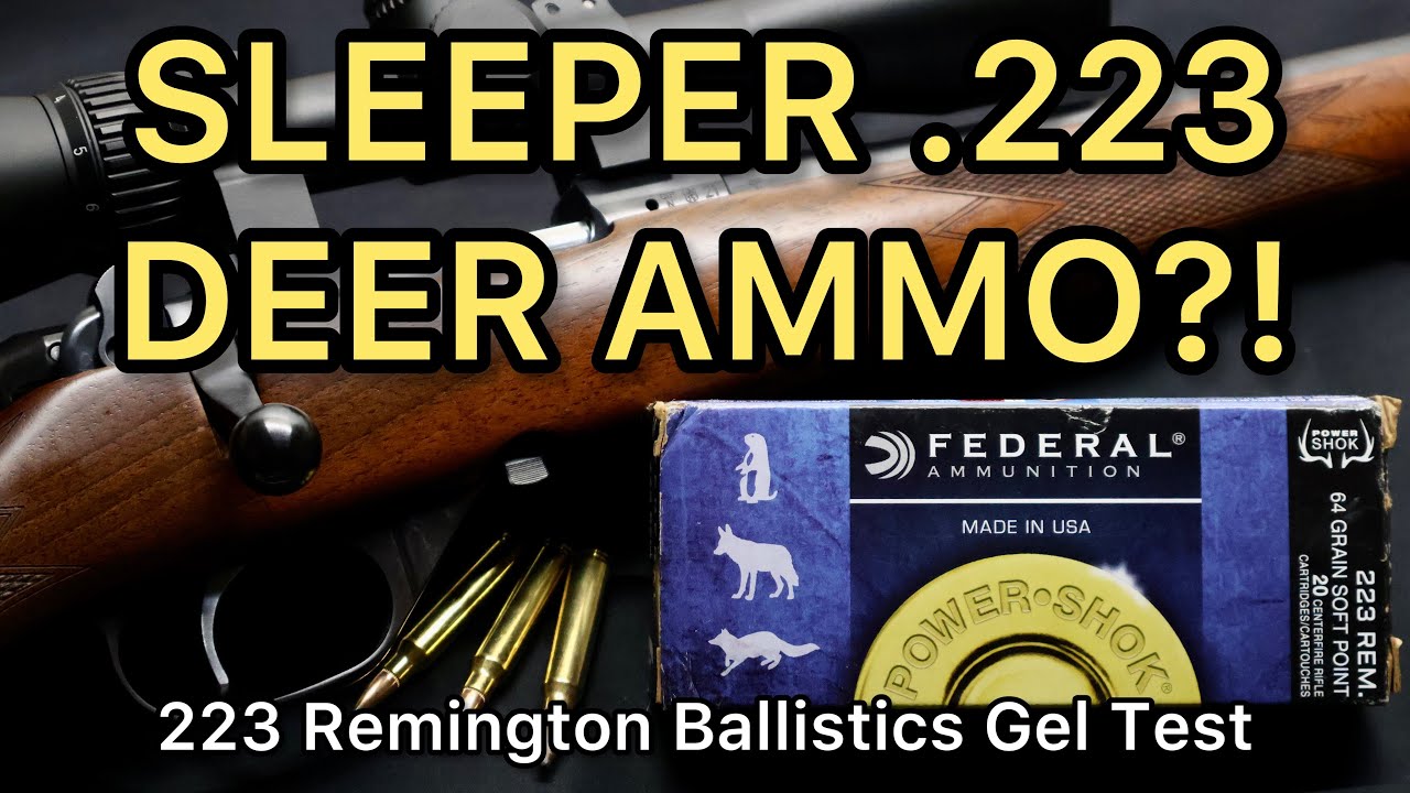 .223 DEER/VARMINT AMMO?! Тест патронов .223 Remington Federal Powershok 64gr