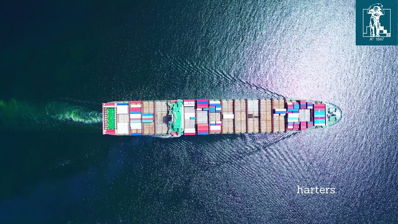 Weekly Update - 13 September 2021