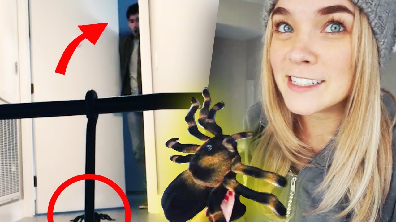 BROMA GERMAN CON UNA ARAÑA GIGANTE!! - Lenay ⚡