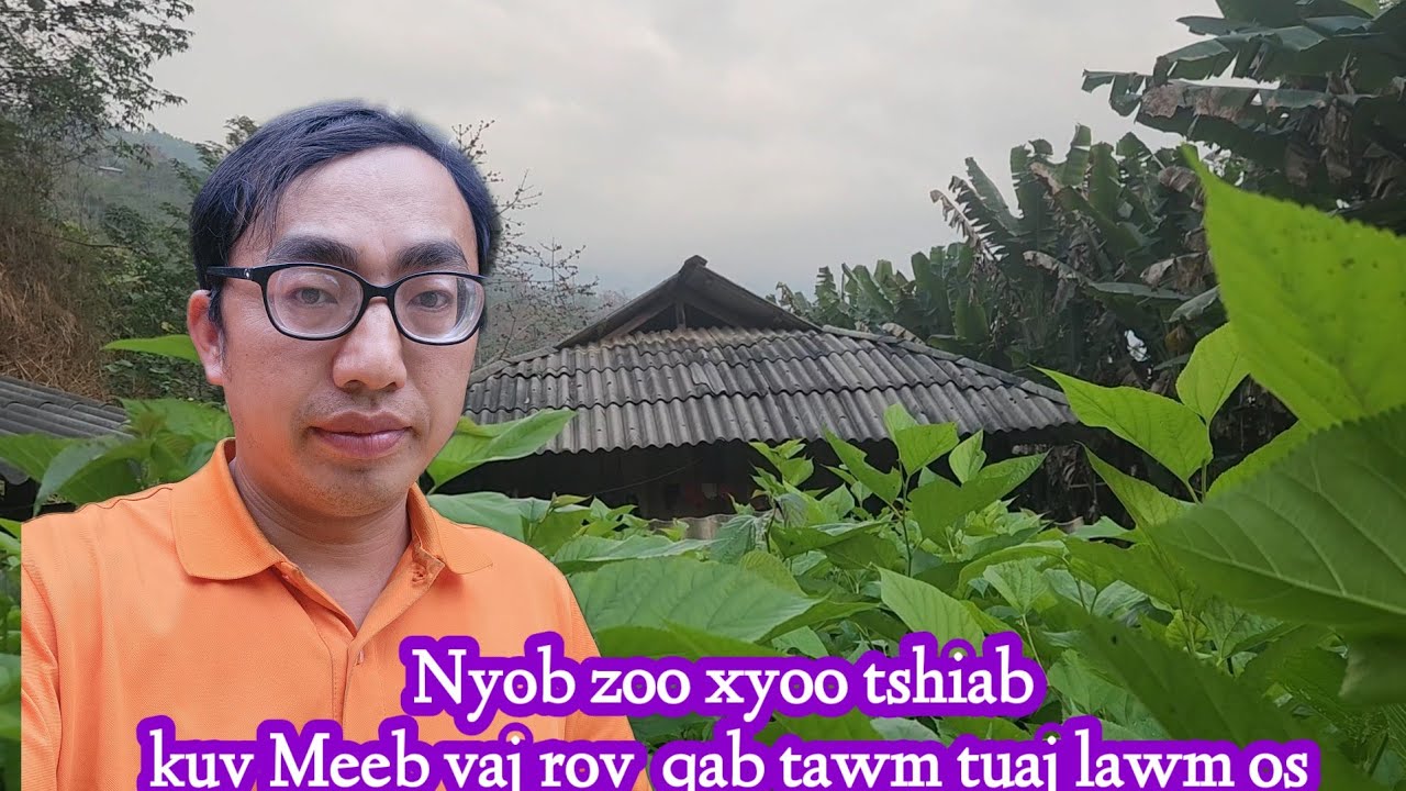 Meeb vaj los txog tsev lawm coj peb mus ncig saib teb zaub yug kab nyob nyab laj teb
