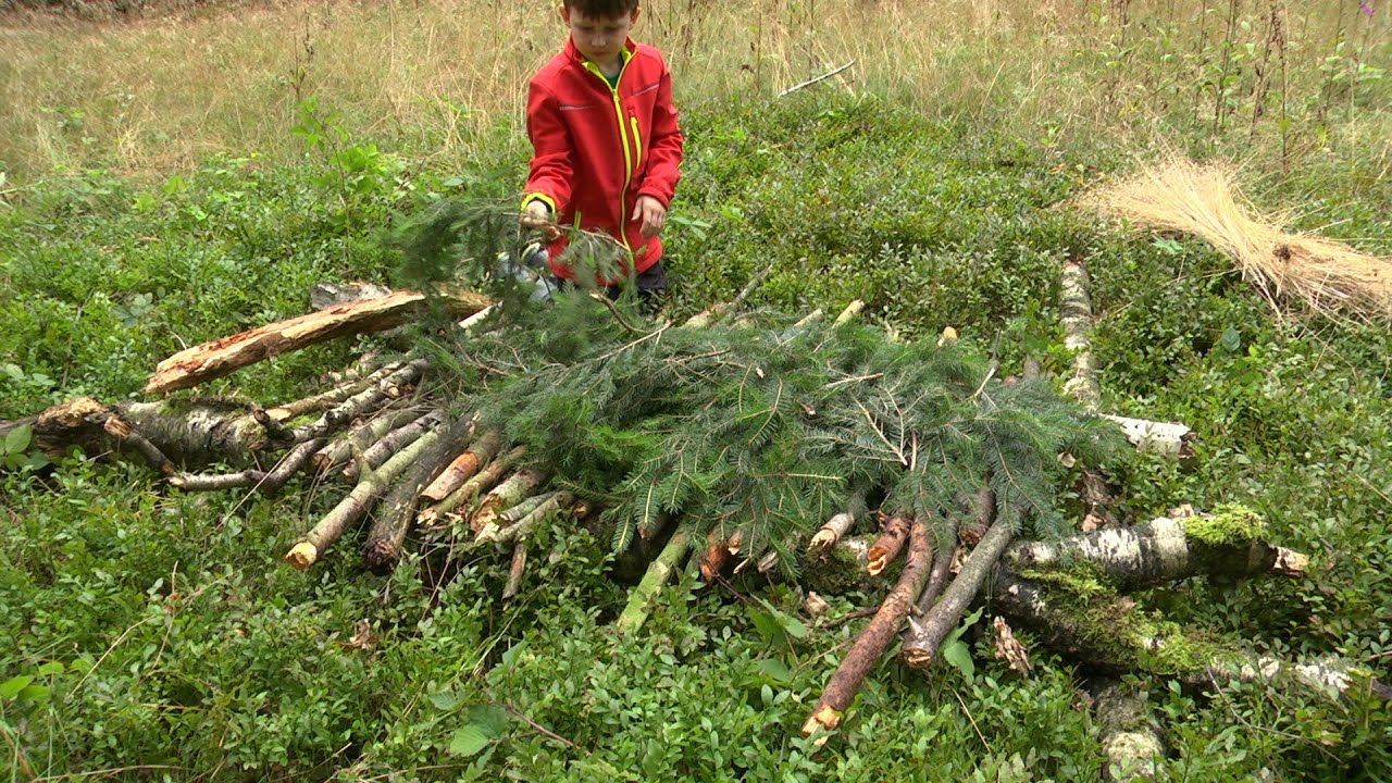 Naturfilmer Dammer Berge: 