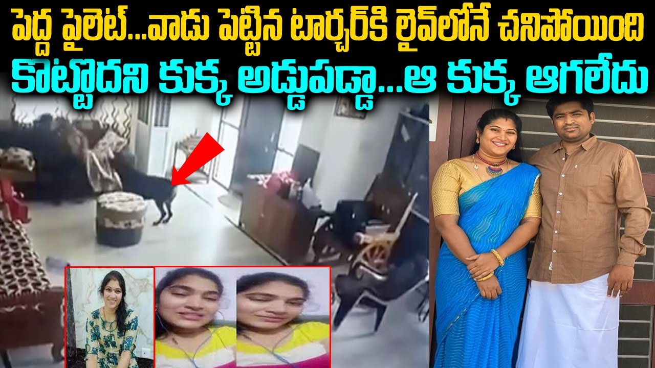 కొట్టద్దని కుక్క అడ్డుపడ్డా ఈ కుక్క మాత్రం ఆగలేదు | Pilot & Lavanya Case | Twaves | Voice of venkat