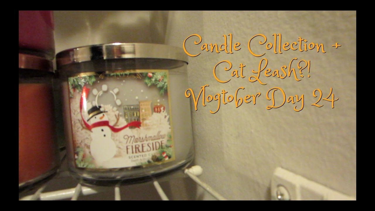 Candle Collection + Cat Leash!? | Vlogtober Day 24