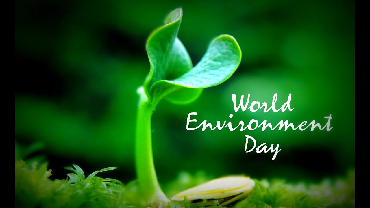 World Environment Day 2020#WorldEnvironmentDay  #worldenvironmentday  #5thJune