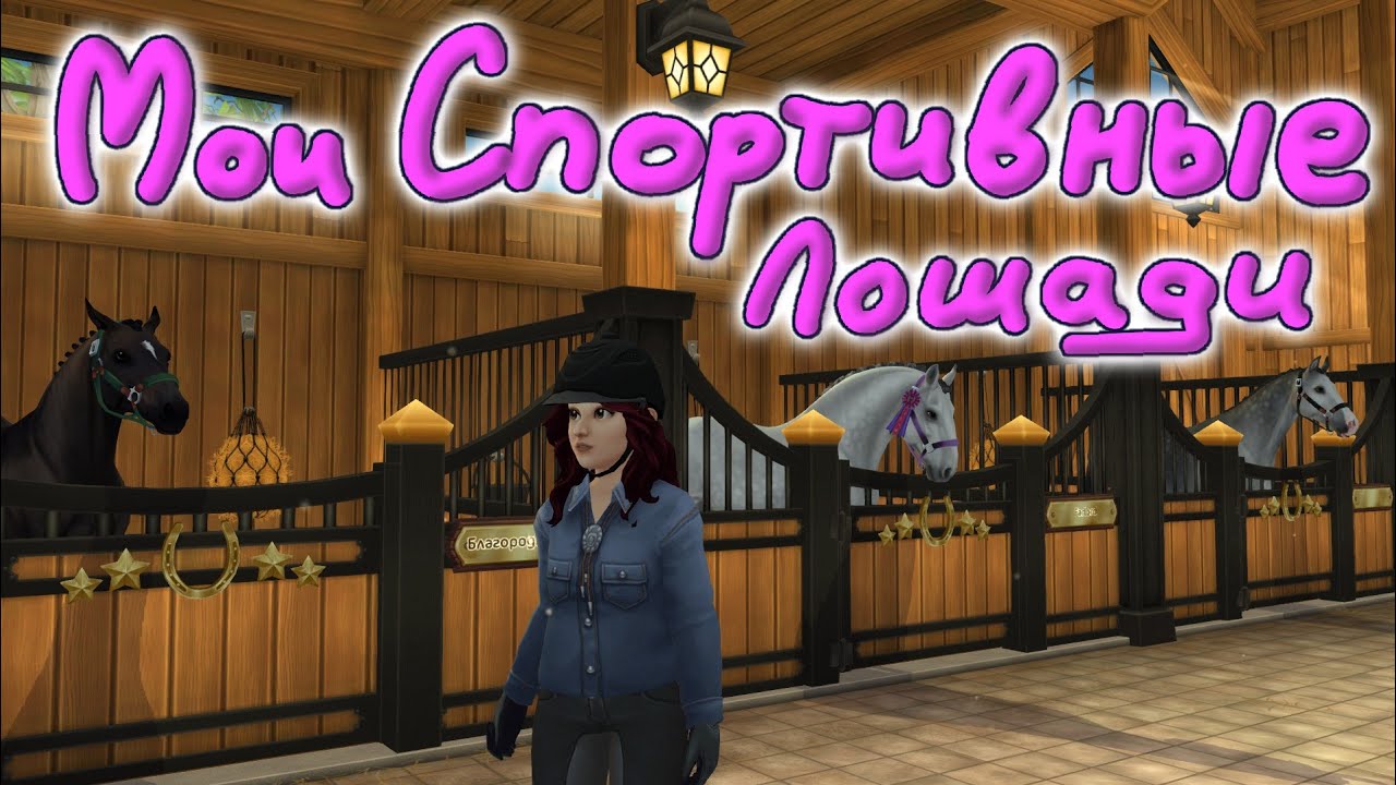 Каких лошадей я беру на соревнования |Star Stable Online|