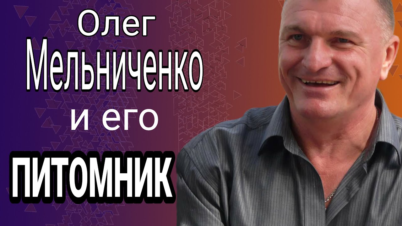 Аlabai / Заводчики собак / Знаменитый кировоградский питомник