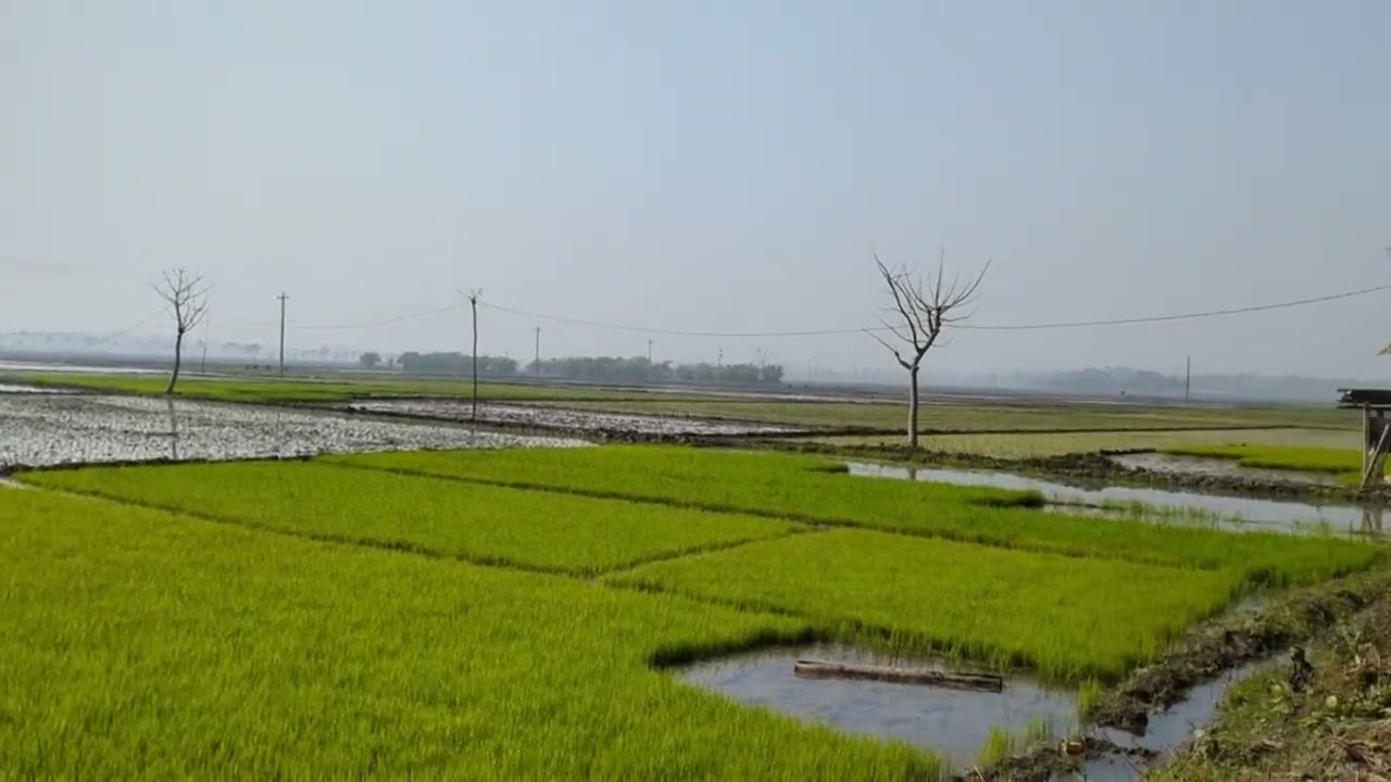 Natural beautiful environment.....#viral #nature 