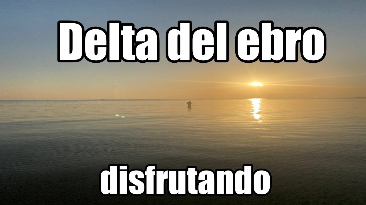 Pesca en el Delta del Ebro muchas emociones
