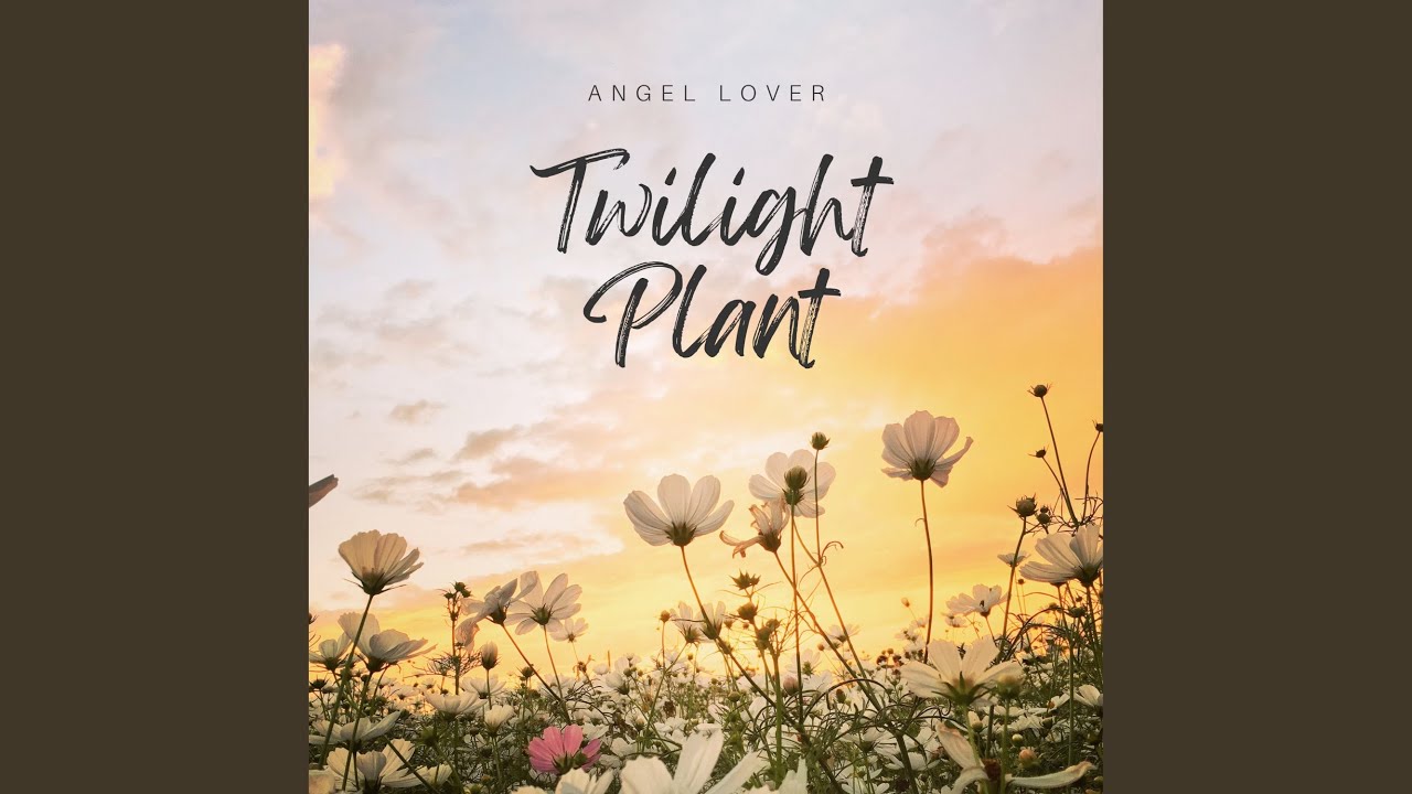 Twilight Plant