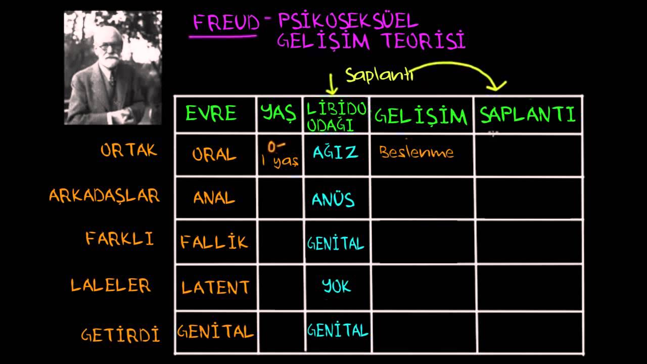 Freud'un Psikoseksüel Gelişim Teorisi (Sosyoloji / Bireyler ve Toplum)