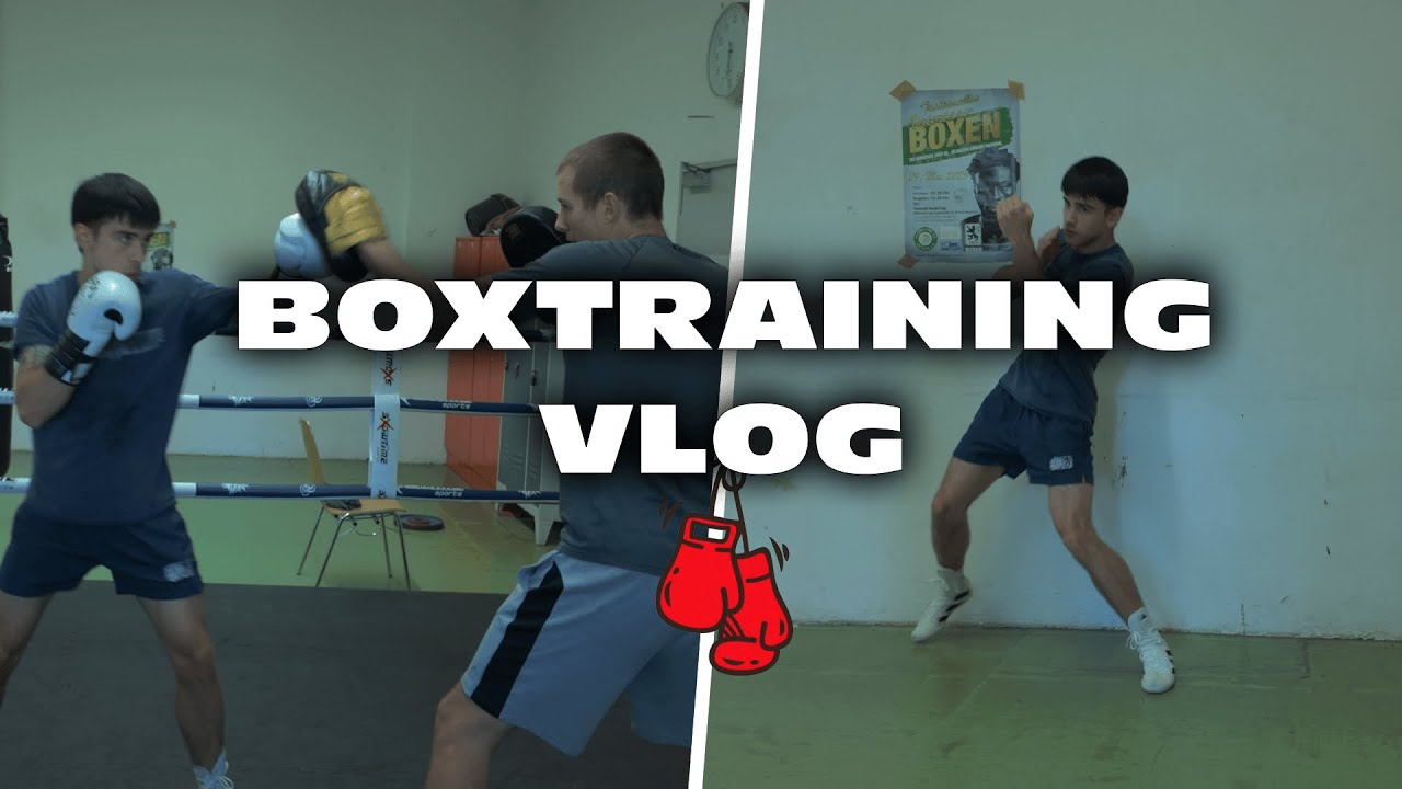 Von einem Boxer trainiert werden – so lief’s…