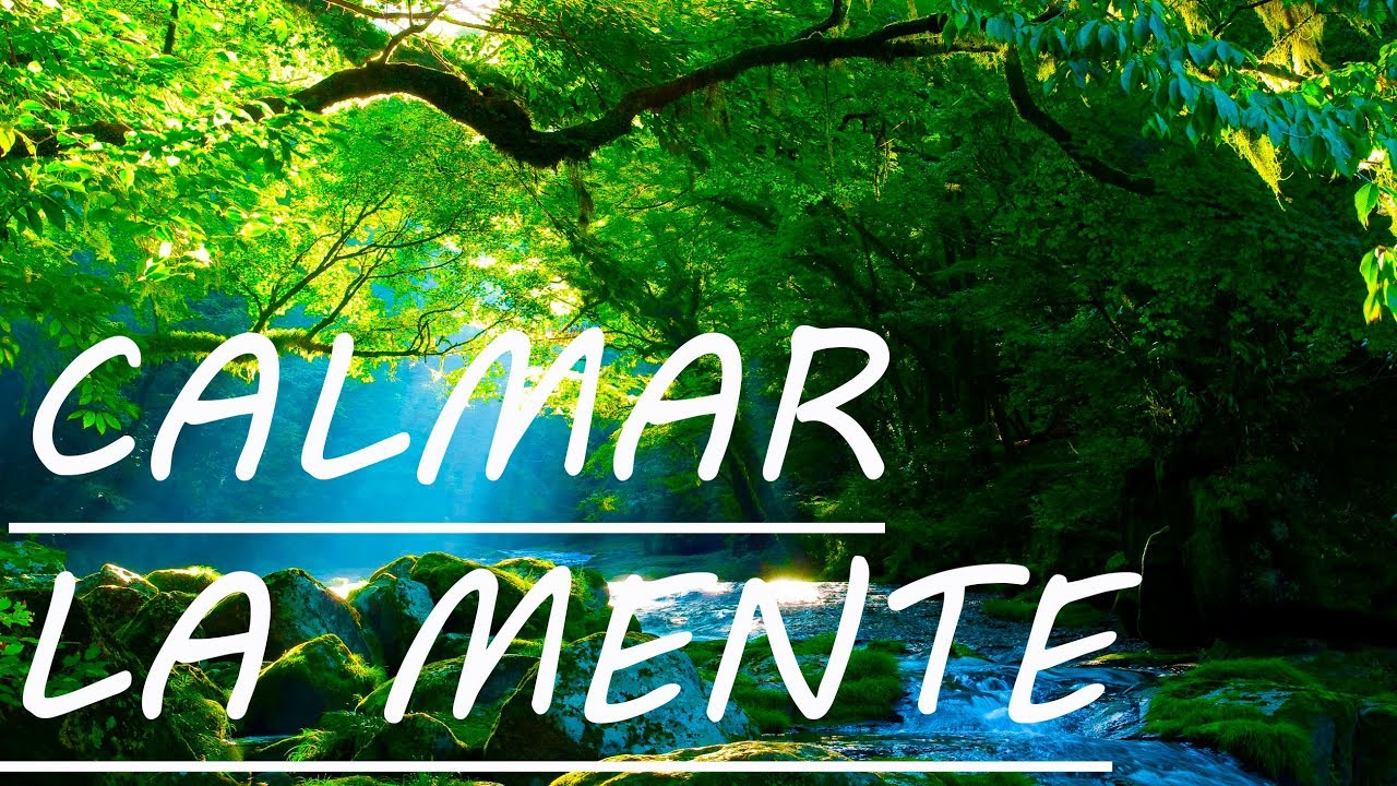 Calmar y Eliminar la Ansiedad: Música Relajante Arpa y Naturaleza