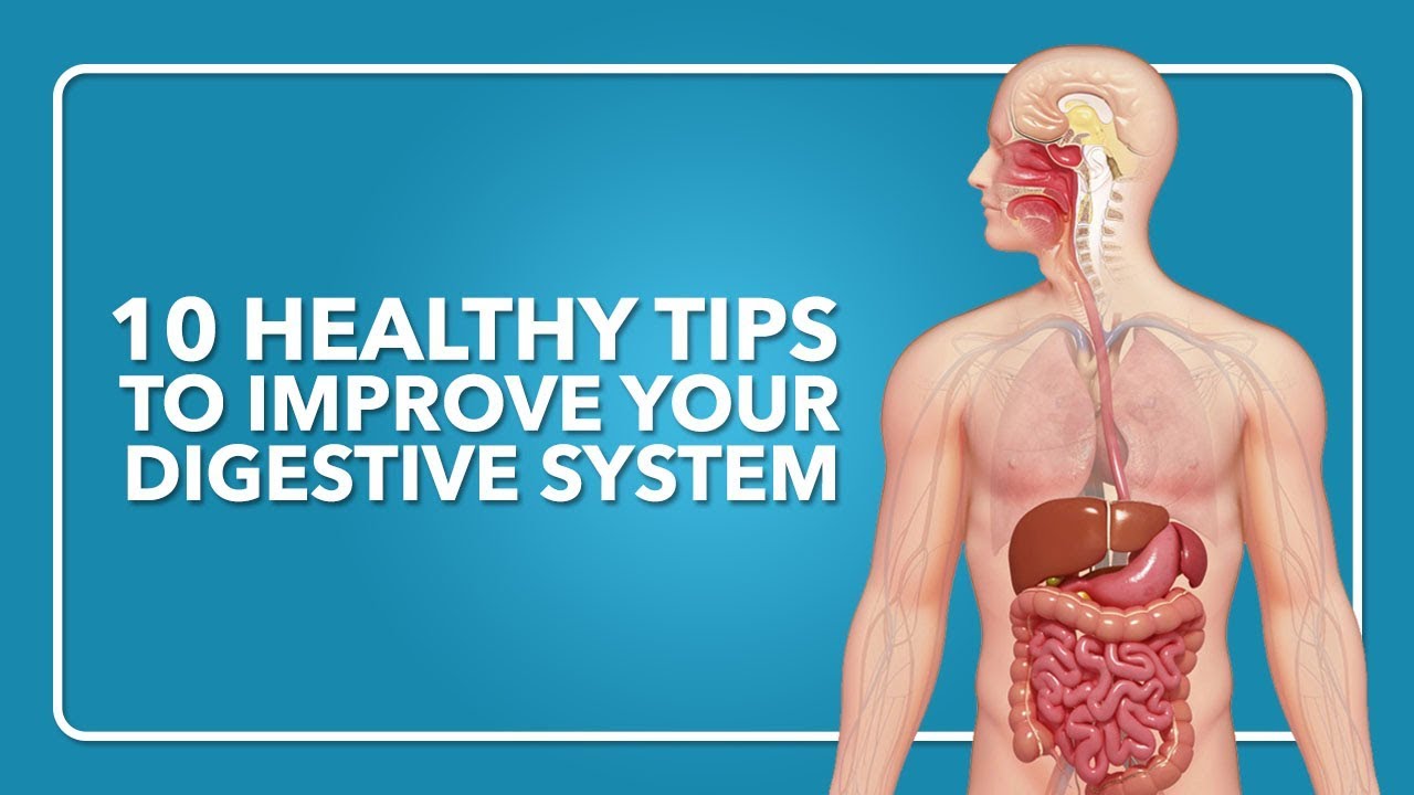 10 HEALTHY TIPS TO IMPROVE YOUR DIGESTIVE SYSTEM - DIGESTIVE SYSTEM | BRIGHTGYAN