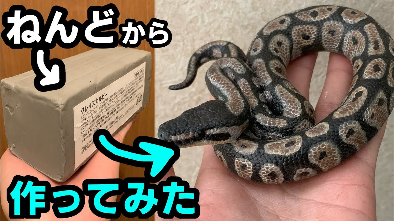 粘土でヘビのフィギュアを作ってみた(ボールパイソン )