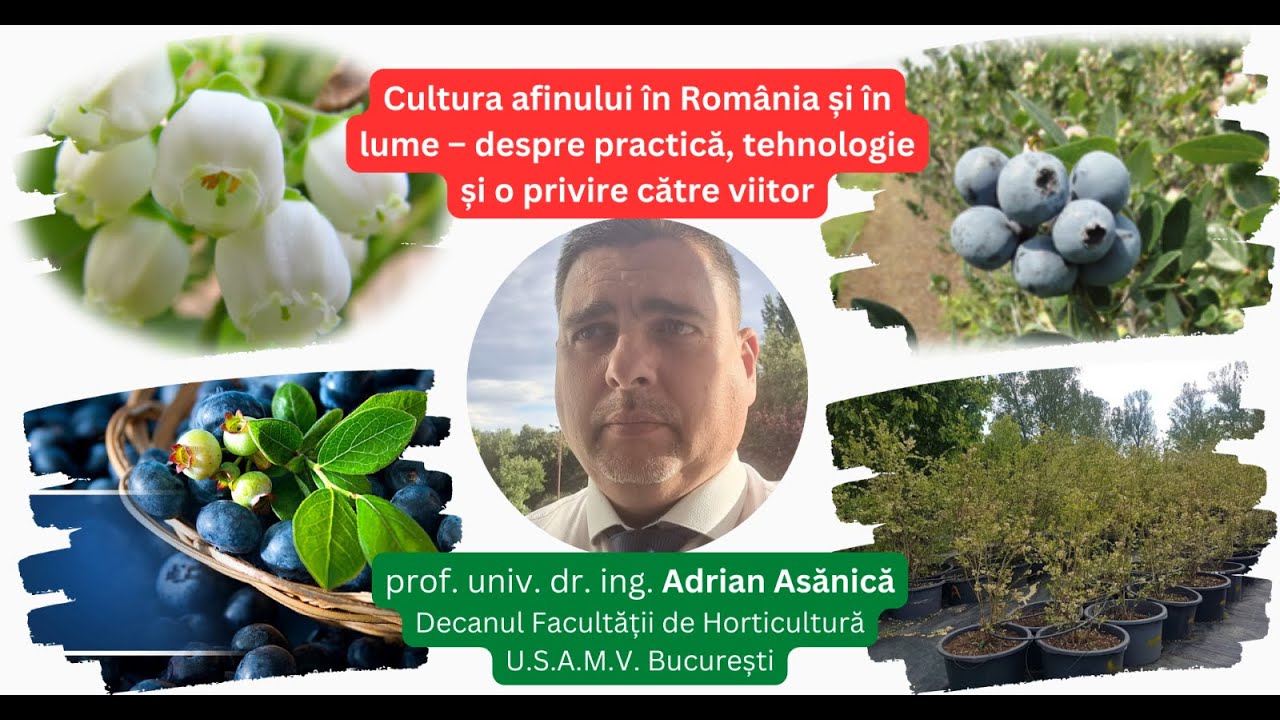 Cultura afinului în România și în lume - despre practică, tehnologie și o privire către viitor