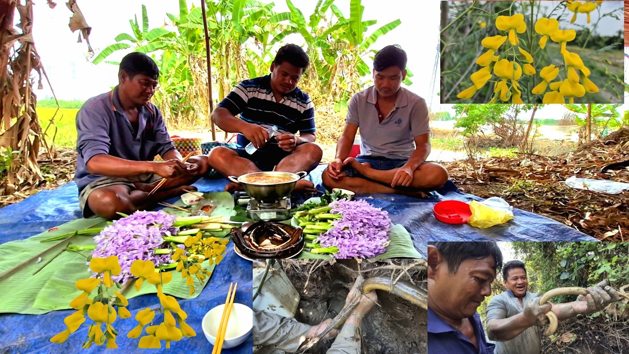 Tập 15.2026 || Truy Tìm Những Con Lươn Ở Ao Hoang