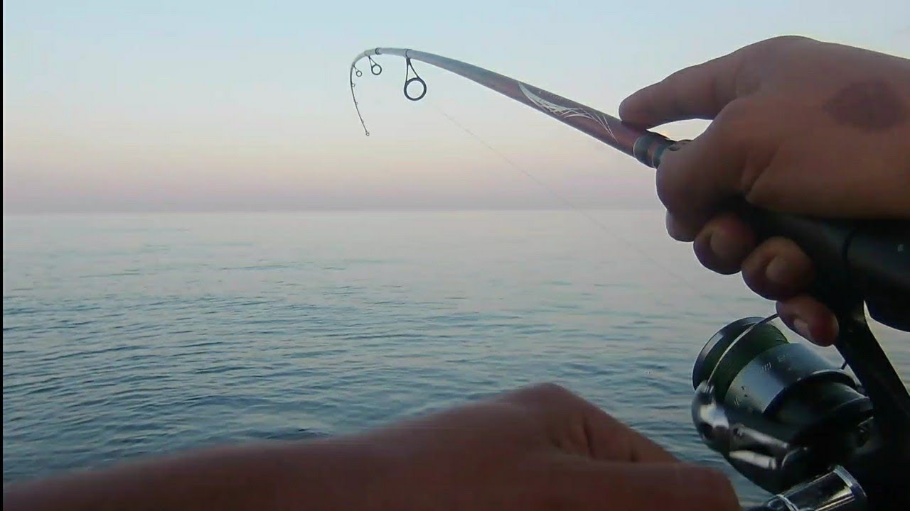 Sabah Suyu Candır . Spin İle Kuzu Avı (Amberjack Fishing) #fishing ##spin #balıkçıgeldibalıkçı