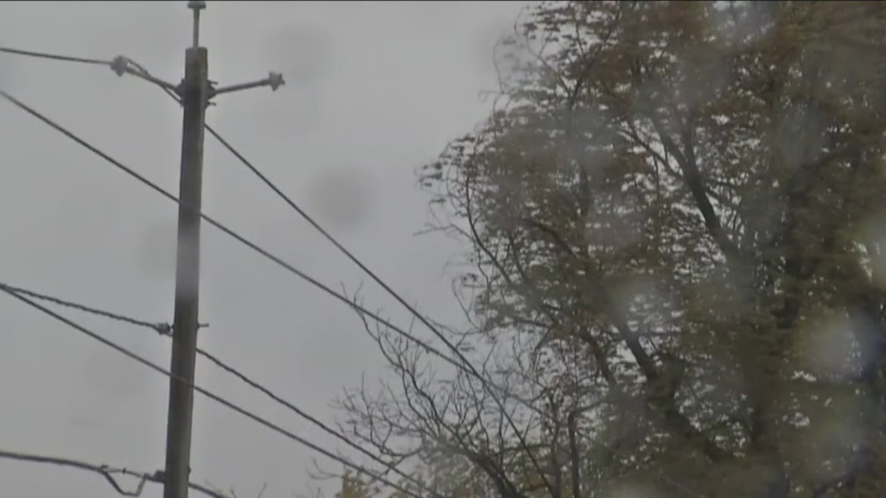 Strong winds bring down trees, power lines