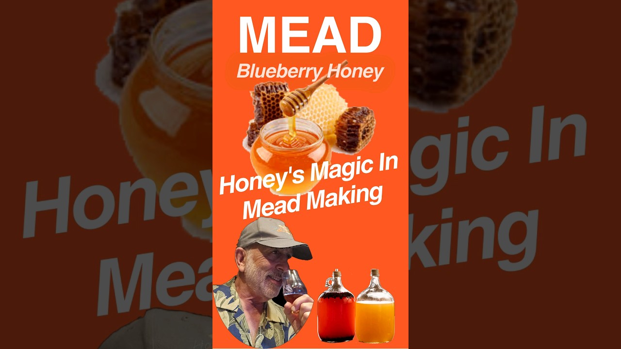 I Discovered the Power of BLUEBERRY HONEY and It Changed My Life